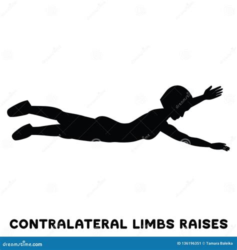 Contralateral Limbs Raises. Sport Exersice. Silhouettes of Woman Doing Exercise Stock ...