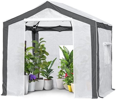 Eagle Peak 8 X 8 Portable Walk In Greenhouse With Roll Up Zipper