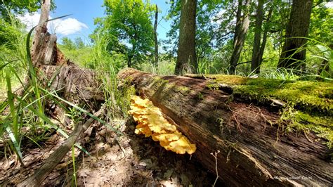 Главная страница