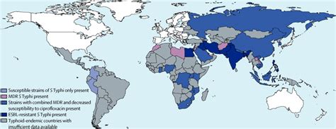 Typhoid Fever The Lancet