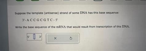 [Solved]: Suppose the template (antisense) strand of some D