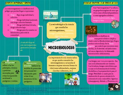 La Clasificación De Los Microorganismos Según Su Peligrosidad Y La