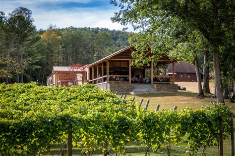 Bear Claw Vineyards- Winery and Vineyard in Blue Ridge, Georiga