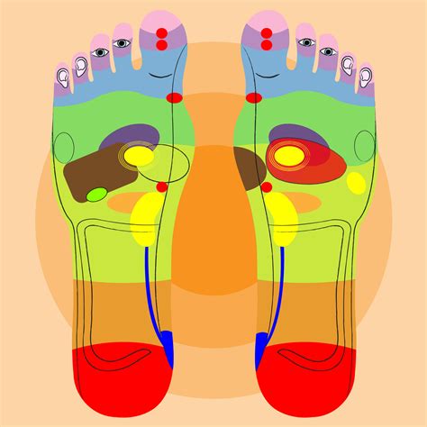 Physiotherapie Wasylow Fußreflexzonen