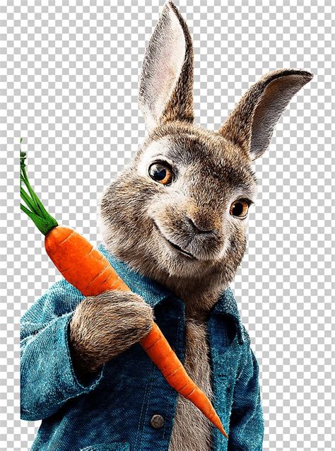 The Tale Of Peter Rabbit Mr. McGregor Meet Peter Rabbit Cinema Film PNG, Clipart, Animals ...