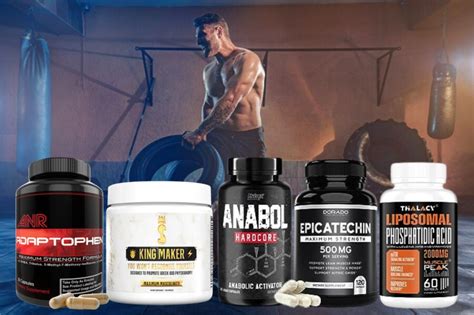 Top 5 Bodybuilding Supplements Of 2023 Boost Muscle Growth And Strength With These Powerful