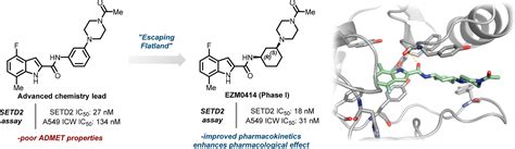 Conformational Design Driven Discovery Of Ezm A Selective Potent