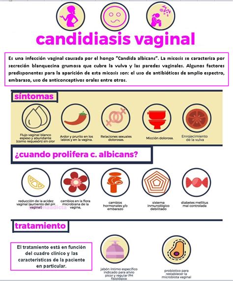 Candidiasis vaginal Infografía INSteractúa The Best Porn Website