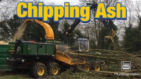 Ash Forest Pt3 Harvesting The Ash Trees Youtube