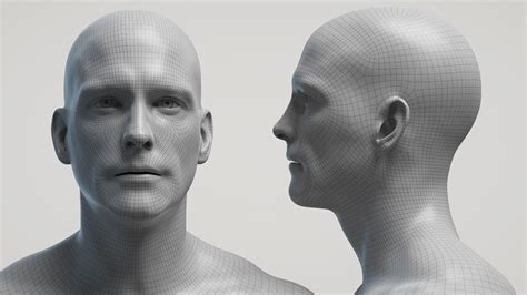 Ultimate Male Base Mesh Model 3 D