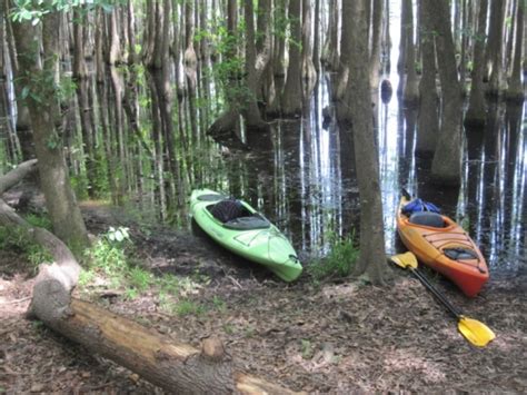 George L. Smith State Park | Friends of Georgia State Parks