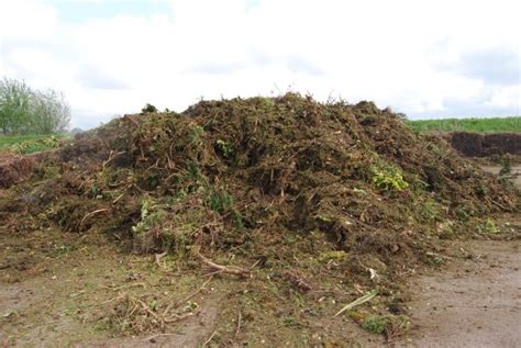 Green Waste – Greener Compost