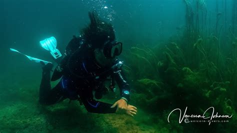 Tauchen In Augsburg Unterwasser Fotografie Im Süßwasser Unicorn Divers