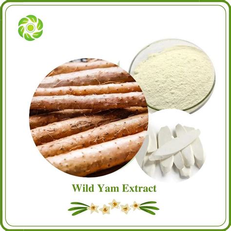 World Well Being Wild Yam Extract Diosgenin 60 Dioscin For Skin Care