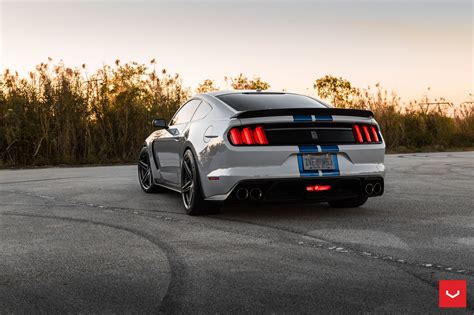 Blue Stripes Reveal the Sporty Character of Gray Ford Mustang Shelby ...