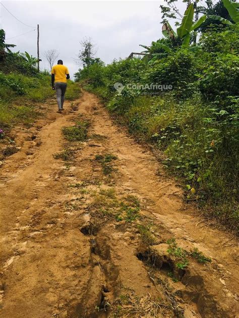 Terrains Terrain 400m² Lendi au Cameroun CoinAfrique Cameroun