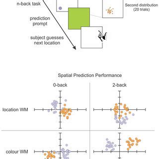 Schematic Representation Of Our Spatial Prediction And Working Memory