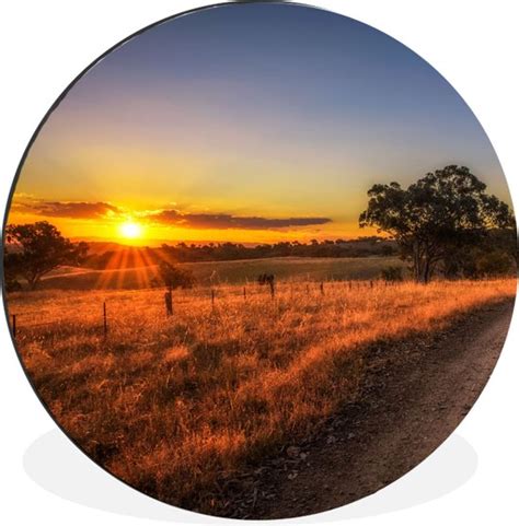 Wallcircle Wandcirkel Muurcirkel Zon Gras Boom Natuur