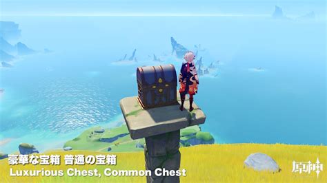 Luxurious Chest Common Chest Genshin