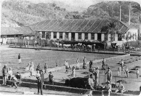 Trem Da Serra Do Rio De Janeiro O Ramal Do Sumidouro