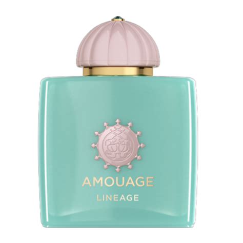 Amouage Lineage Edp Cena Opinie Recenzja Kwc