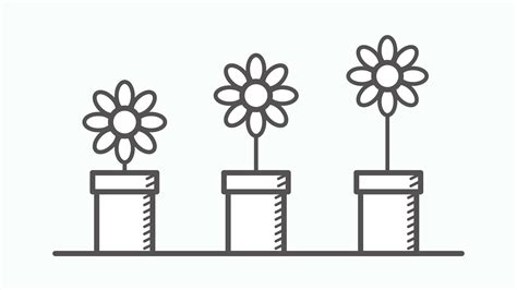 Animated Flower Growing in Doodle Whiteboard Art Style. Describe profit