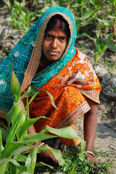 Farmer Weeding Maize Field In Bihar India A Farmer At Wor Flickr