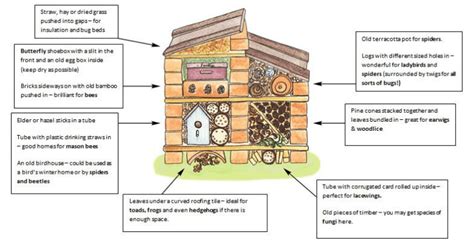 How To Build A Bug Hotel