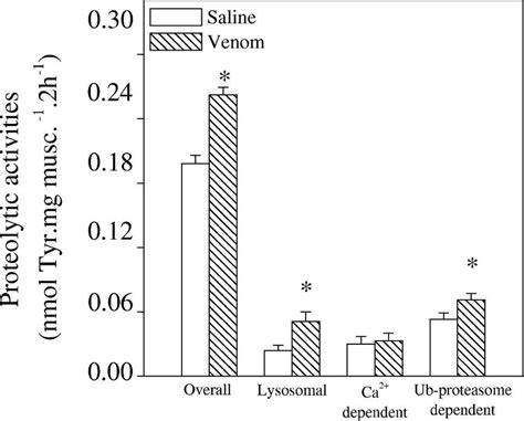 Overall proteolysis and proteolytic pathways in EDL muscles from rats 4 ...