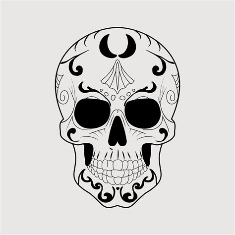 Hand Drawn Anatomical Skulls Vector Set Art Vector Art At Vecteezy