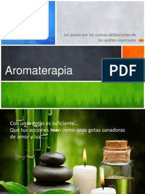 Aceites Esenciales Usos Y Combinaciones Pdf Productos Cosm Ticos