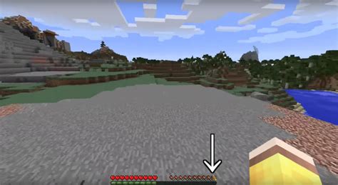 Appleskin Mod 1171 1165 1152 Mod Minecraft Download