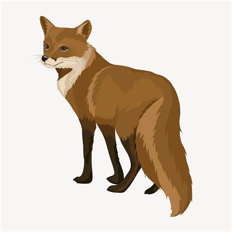 Fox Illustration Animal Clipart Vector Premium Vector Illustration