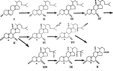 Figure From Bile Alcohol Metabolism In Man Conversion Of