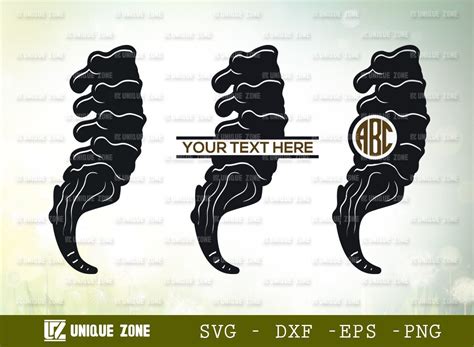 Anatomy Spine Svg Monogram Human Spine Graphic By Unique Zone