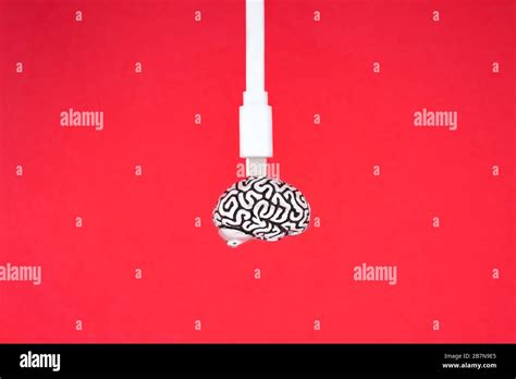 Human Brain Usb Cable Hi Res Stock Photography And Images Alamy