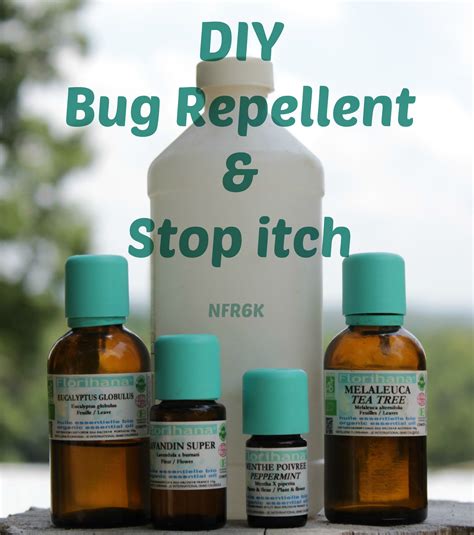 Homemade Diy Bug Repellent And Stop Itch Keep Insects Away Naturally