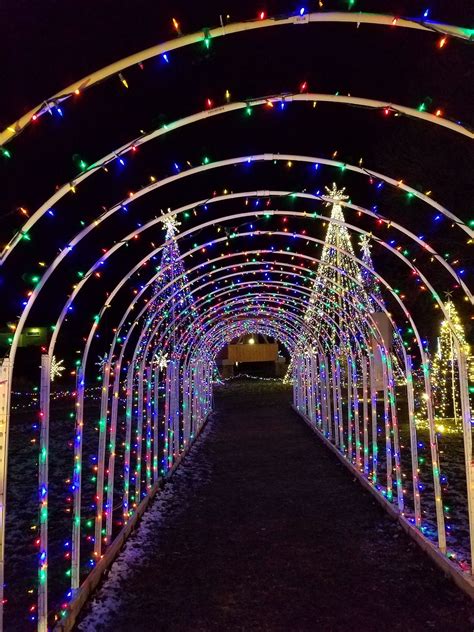 Evans Bosshard Park Sparta, Wi Christmas lights lights ♡ This walkable ...