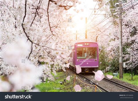 View Of Kyoto Local Train Traveling On Rail Tracks With Flourishing