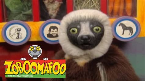 Zoboomafoo (TV Series 1999-2001) — The Movie Database (TMDB)