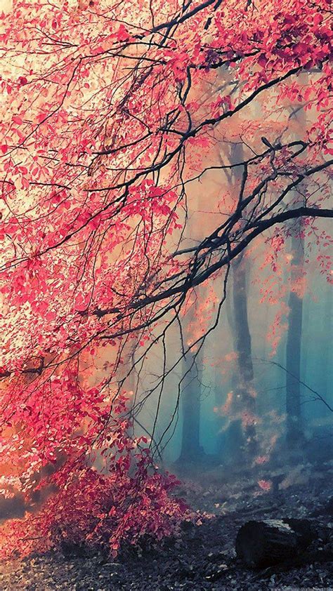 Pink Autumn Wallpapers - Top Free Pink Autumn Backgrounds - WallpaperAccess