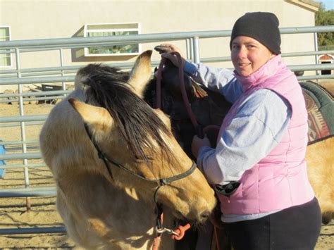 13 FAQ’s About Horse Teeth Floating - Helpful Horse Hints