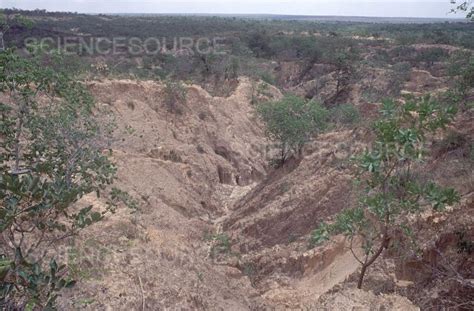 Photograph | Gully Erosion | Science Source Images