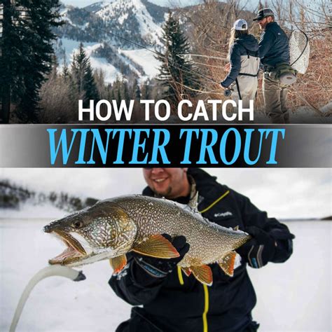 How To Catch Winter Trout Fishing Nice