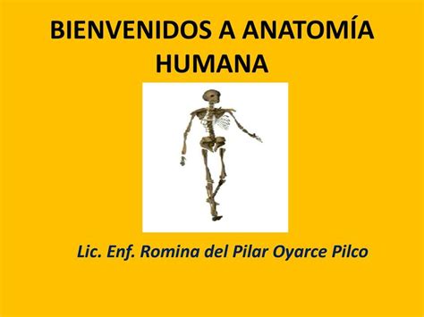 Anatomía Humana Romina del Pilar Oyarce Pilco uDocz