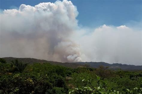 Dia Do Meio Ambiente 5 Desastres Ambientais Recentes Para Não Esquecer