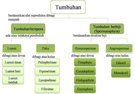 Peta Konsep Perkembang Biakan Tumbuhan Homecare24