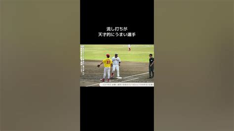 巨人の流し打ちが天才的にうまい捕手 巨人 前田研輝 Baseballshorts プロ野球 ジャイアンツ球場 Shorts Sports Short Baseball