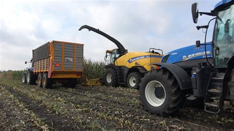 Mais Hakselen Door Loonbedrijf Ten Cate Met New Holland FR500 Hakselaar