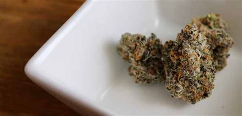 Zen Leaf Reopens Dispensary In Canton - Candid Chronicle